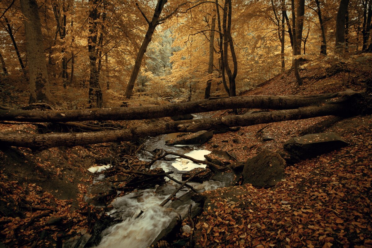 Переправа - Виктор Савельев