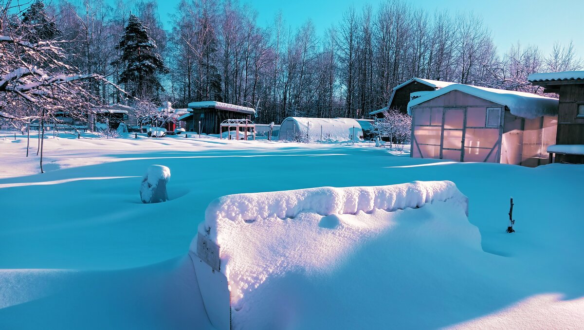 садовые участки  зимой - Владимир 