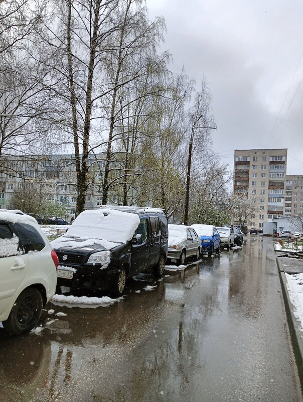 прочее - Владимир 