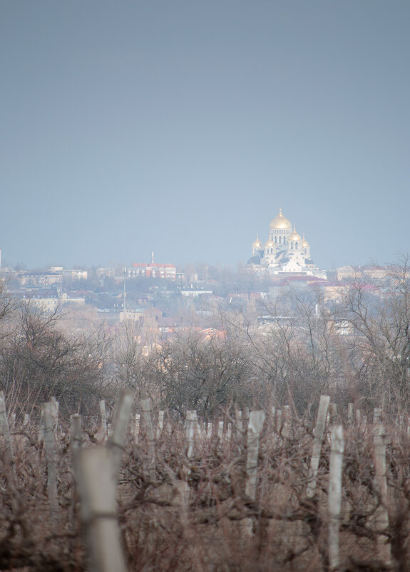 Вид снизу на город - Алефтина 
