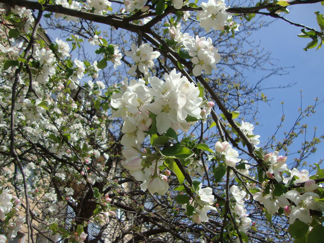 для настроения... - Галина Флора