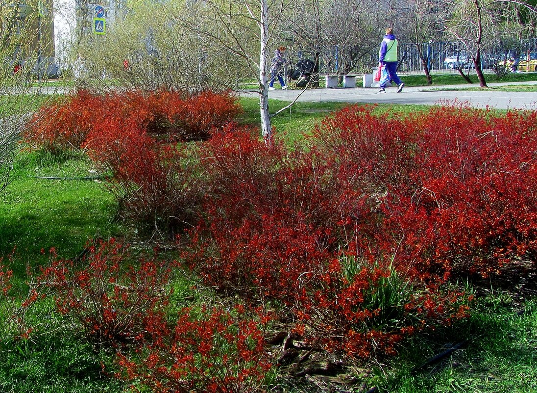 .. апрельским днём... - galalog galalog