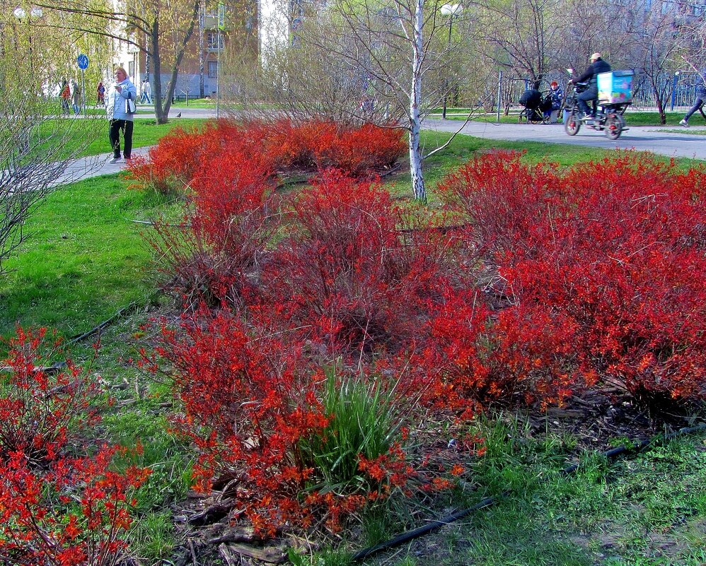 .. апрельским днём... - galalog galalog