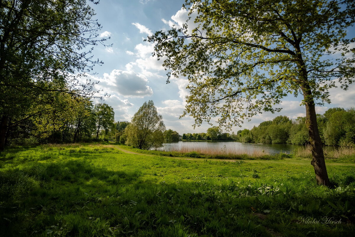Майским днём... - Николай Гирш