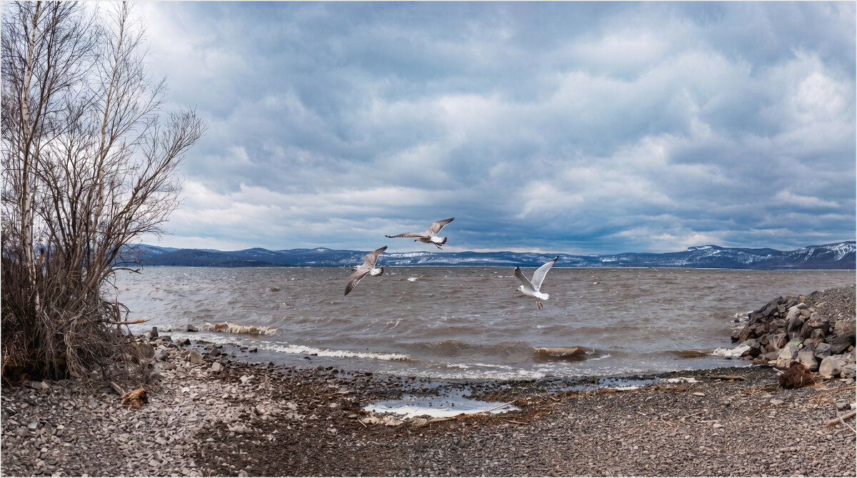 **** - Алексей Мезенцев