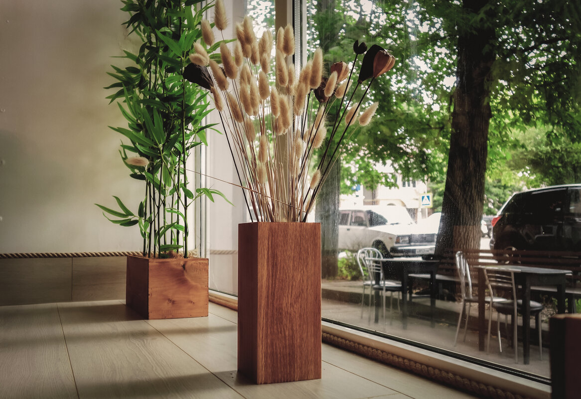 Вид из кафе - Сергей Царёв