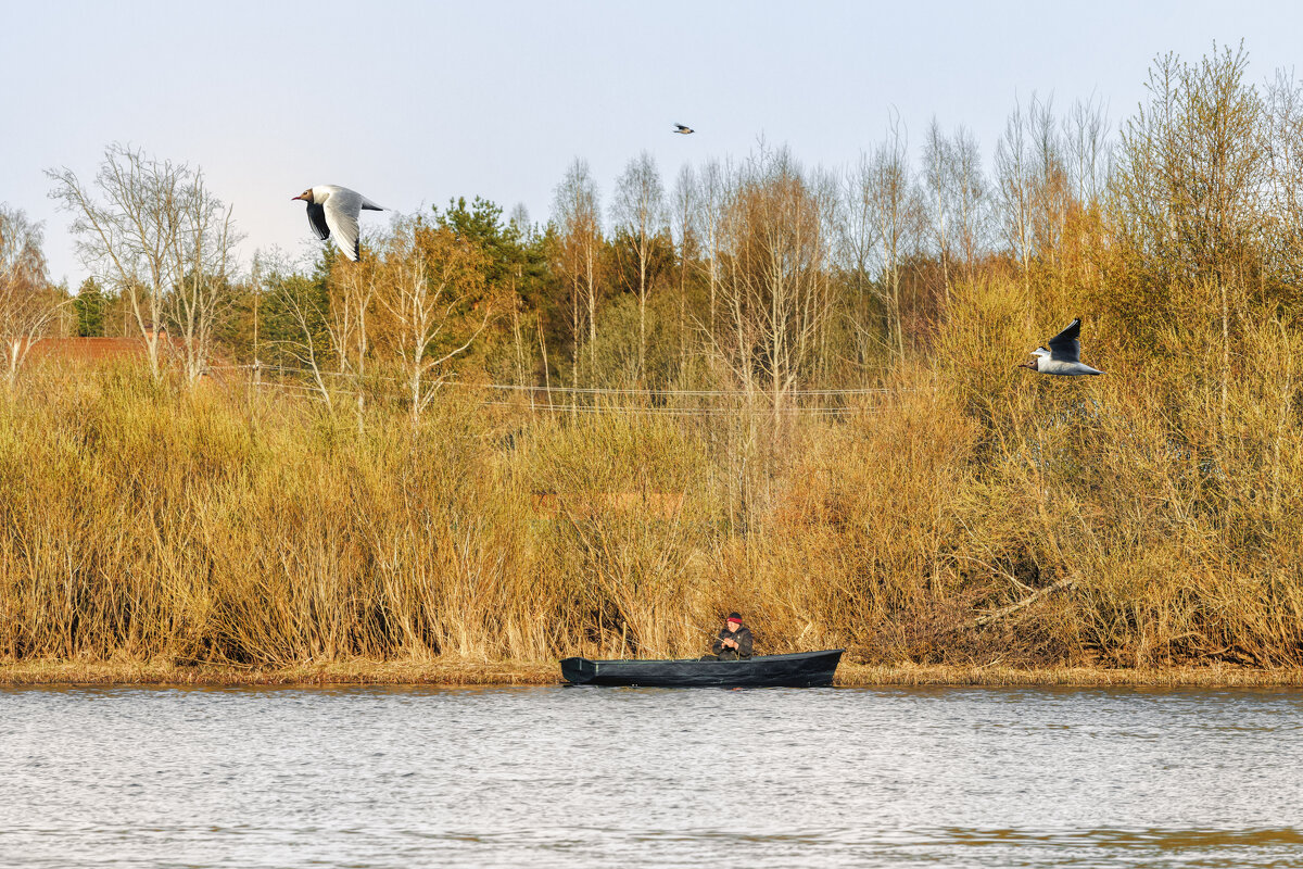 Весна - Владимир Колесников