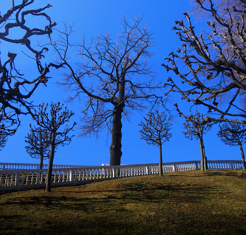 *** - Сергей Григорьев