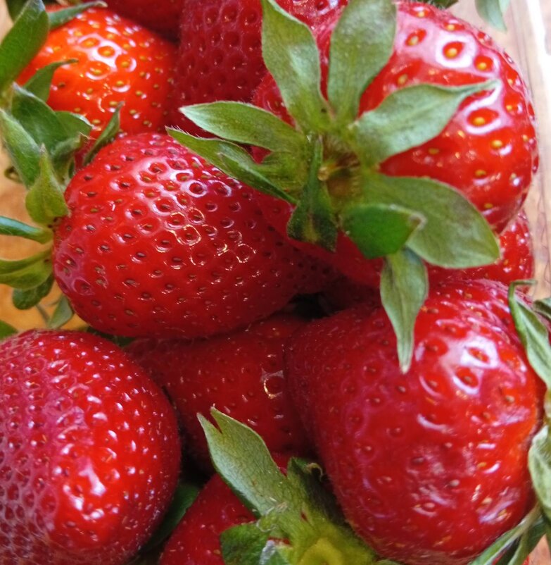 Клубника - Галина Бобкина