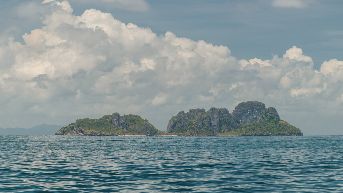 ... - Жора Житников