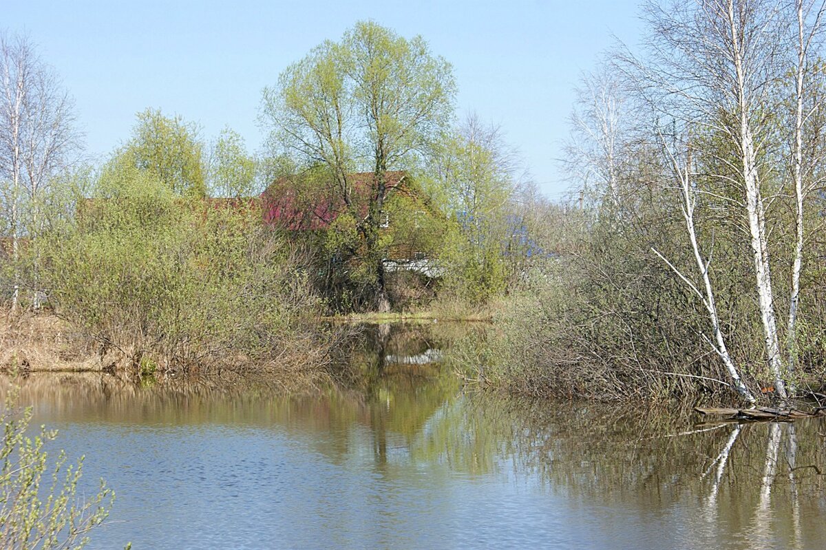 Природа просыпается - Галина Нестратова