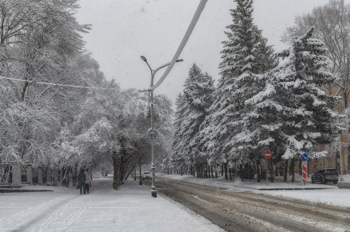 Снежный апрель - Виктор Иванович Чернюк