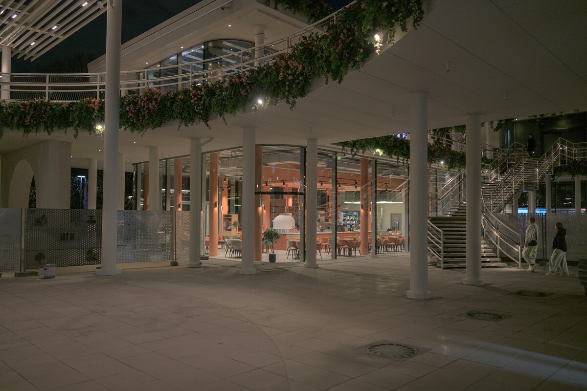 Новострой на Пушкинской набережной - Yevgeniy Malakhov