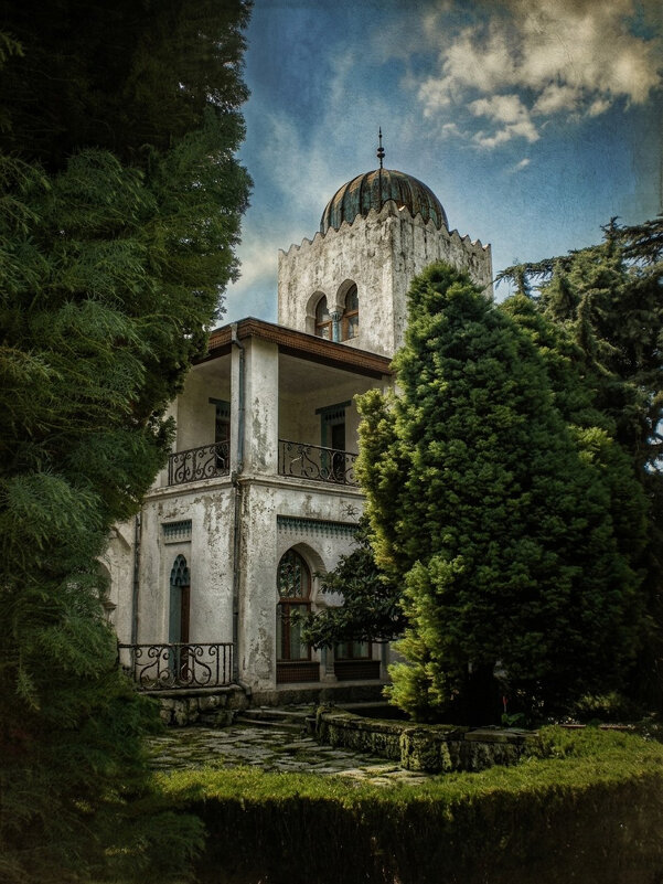 В соавторстве с ИИ - Роман Савоцкий