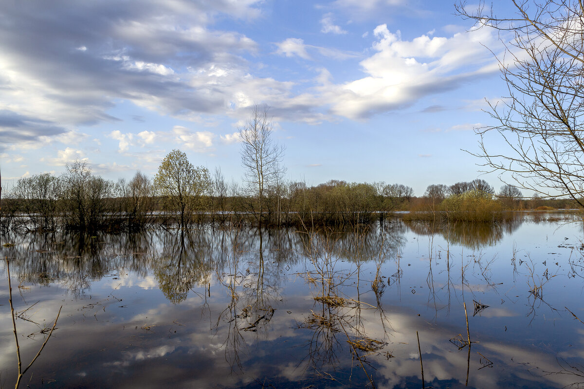 Пойма Клязьмы под водой - Сергей Цветков