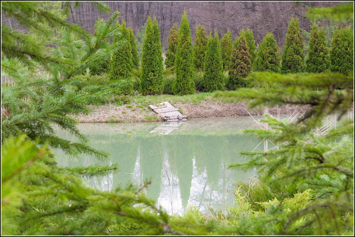на маленьком плоту - Сеня Белгородский