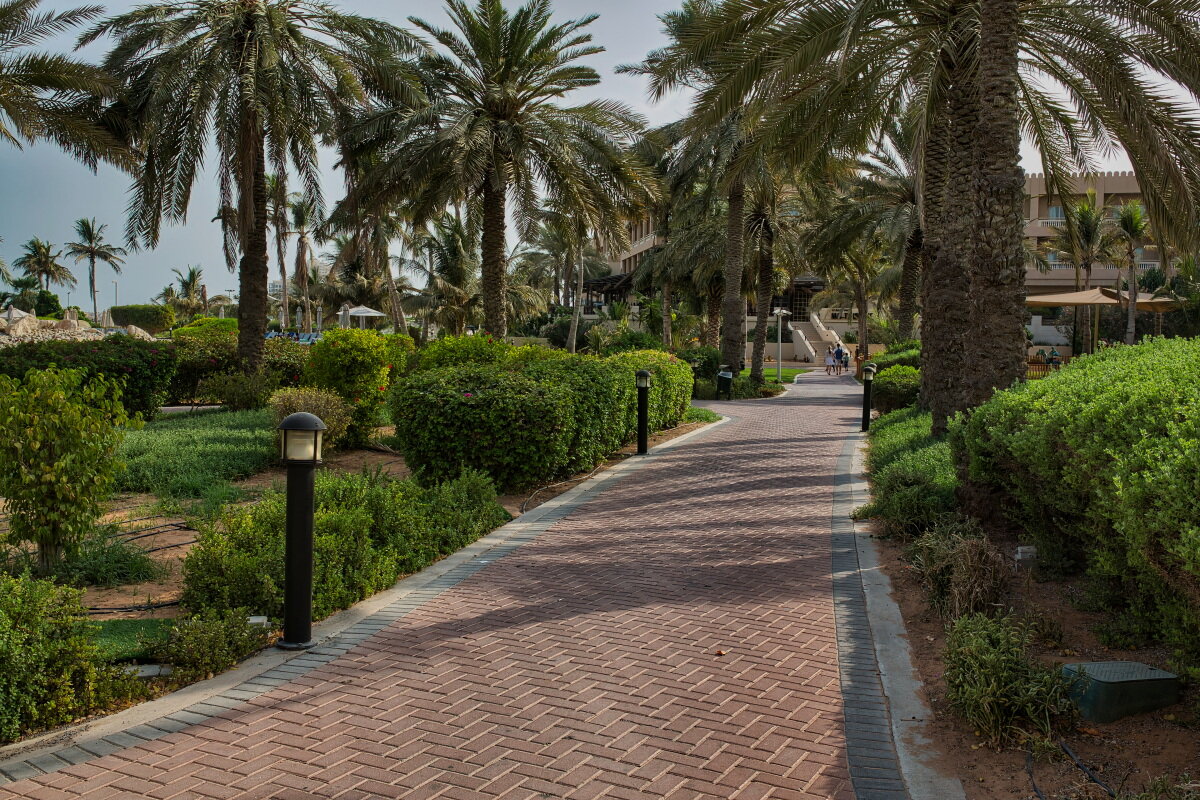 UAE 57 - Arturs Ancans