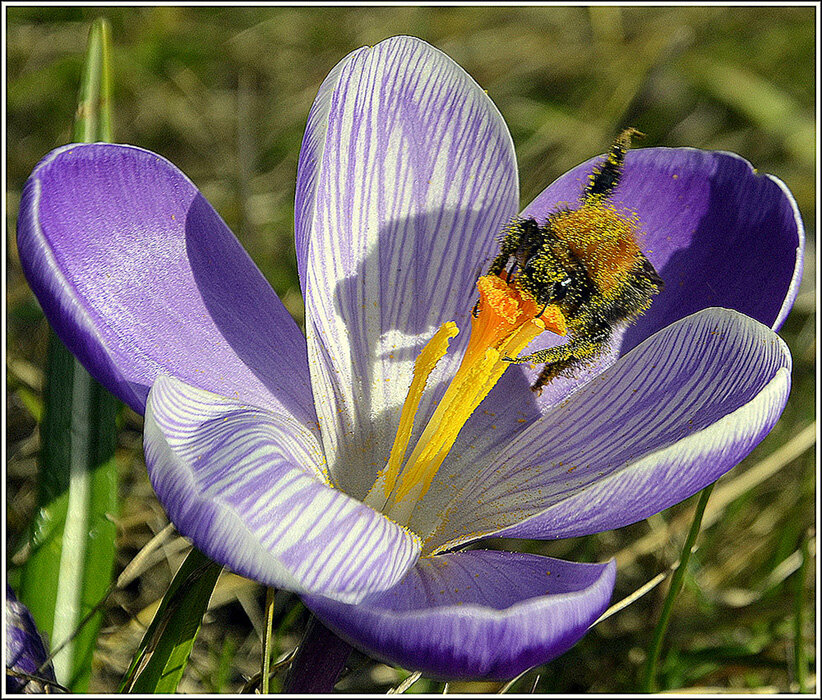 Пошла работа - Aleksandr Gal