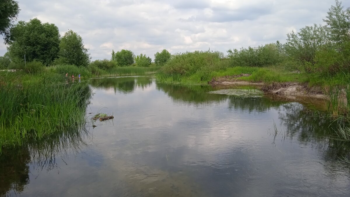 Усманка - Елена Шаламова