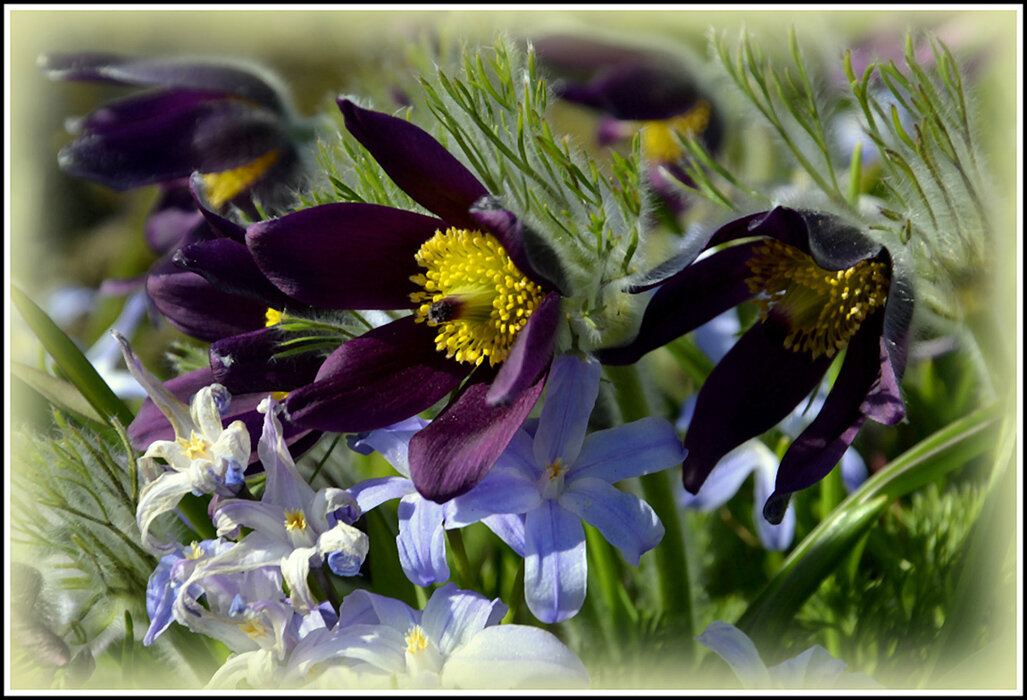 Сон трав - Aleksandr Gal