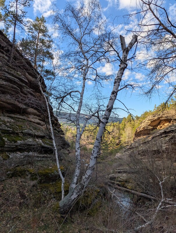 Ущелье - Андрей Хлопонин