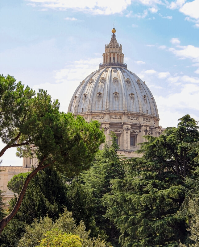 Рим - skijumper Иванов