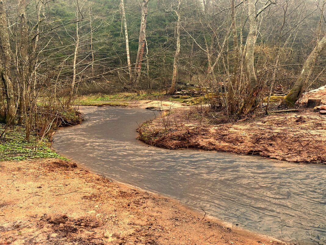 В лесу - Андрей Л. В.