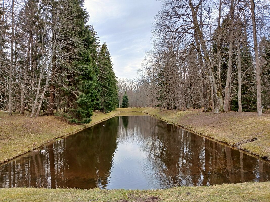 Часть П-образного пруда(вертикальная) - Лия ☼