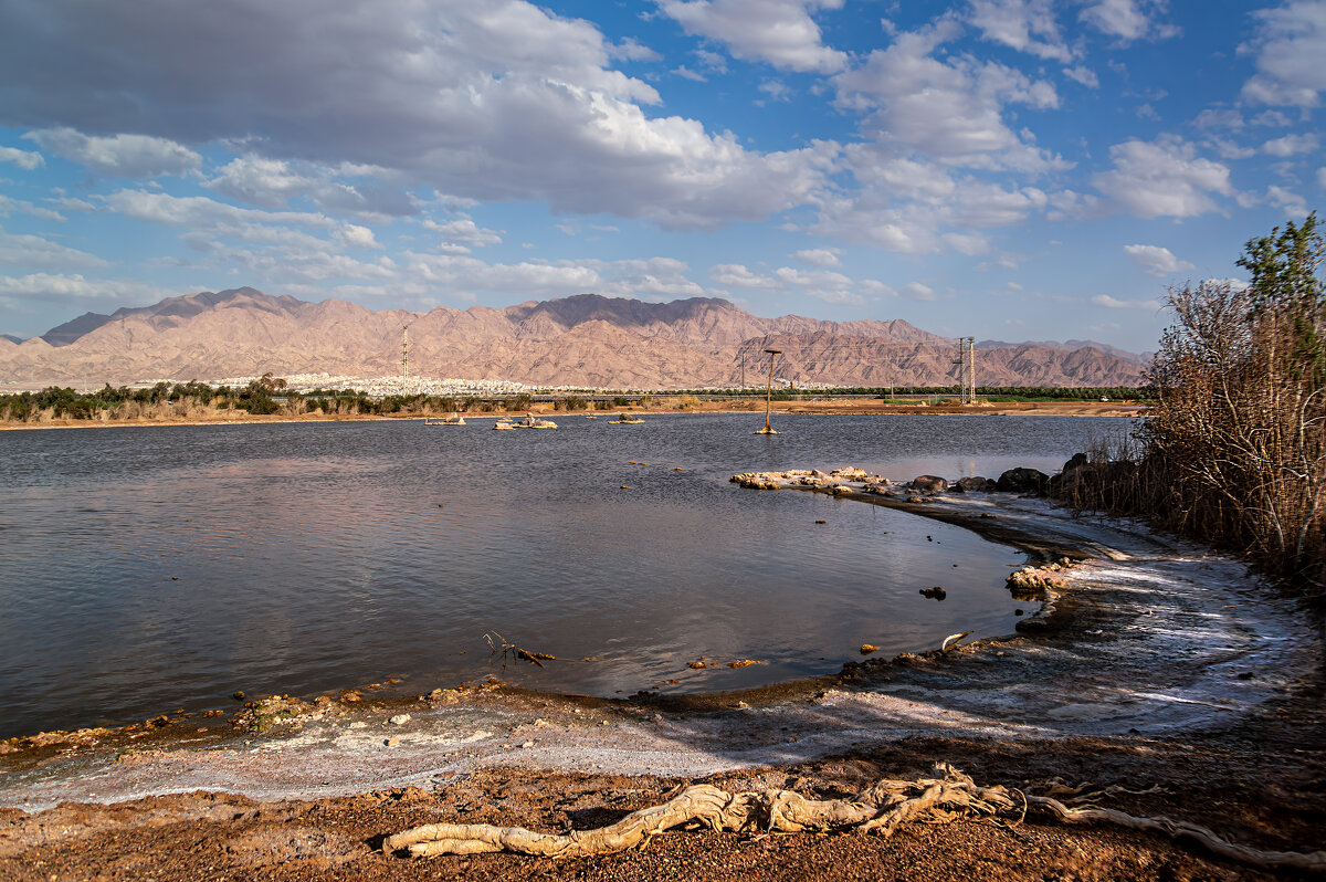 Пруд на границе - Eugene *