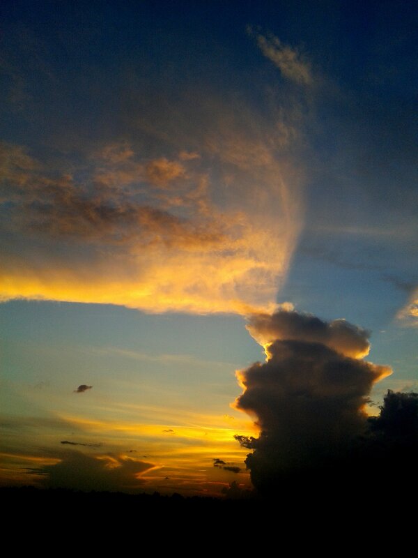 зритель заката - Владимир 