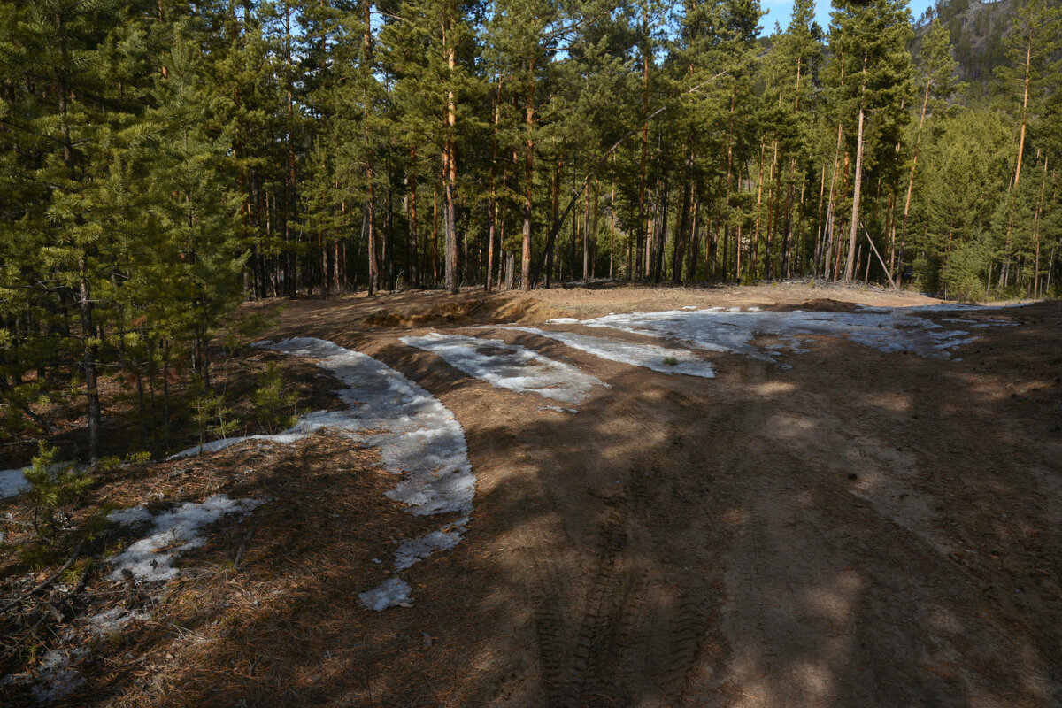 *** - Наталья Покацкая