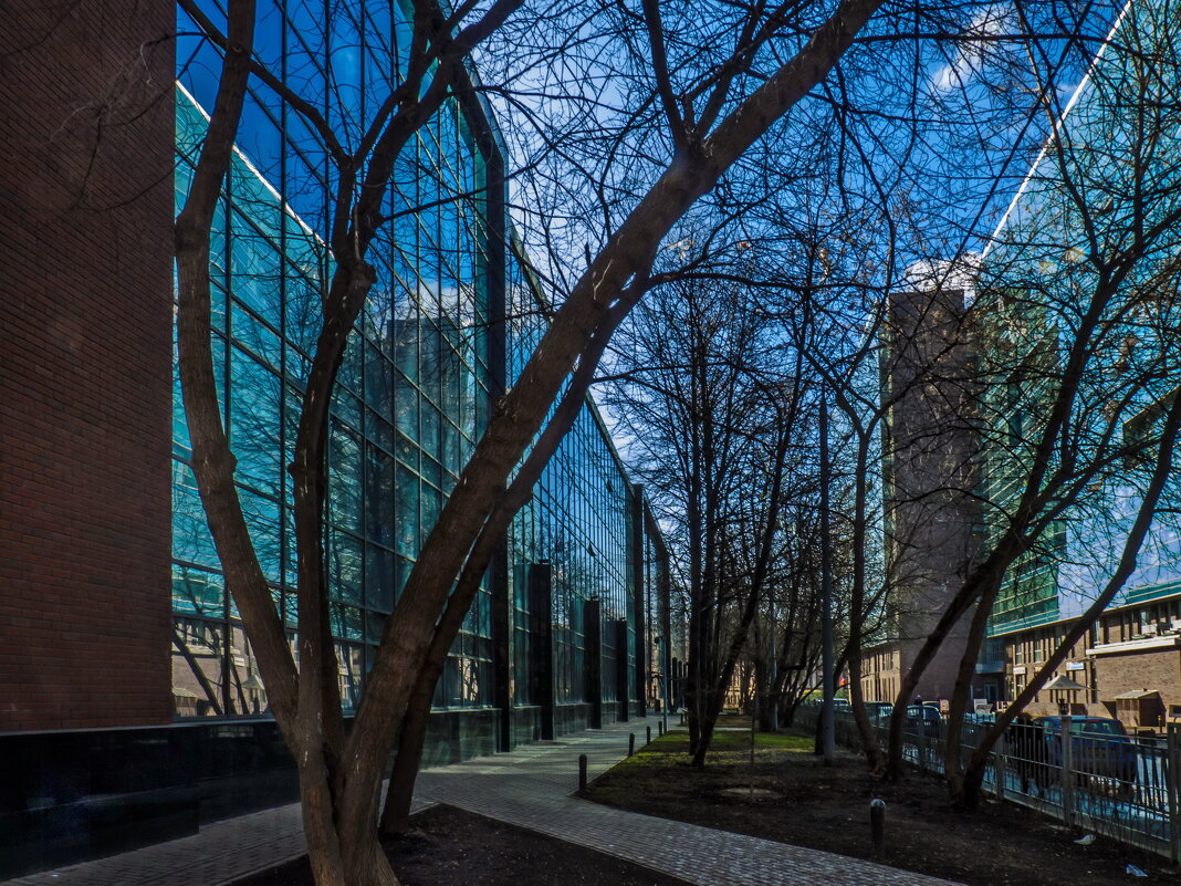 Весенний день - Наталья Rosenwasser