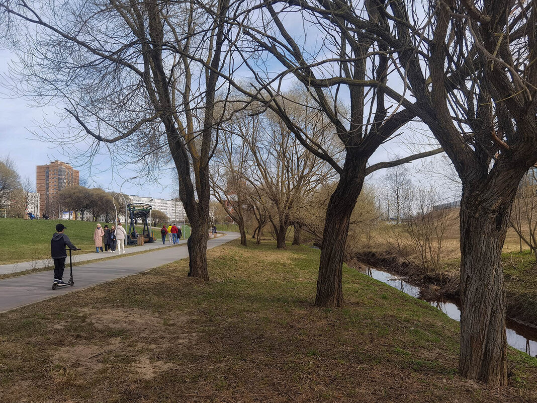 Муринский парк. СПб. - Лилия *