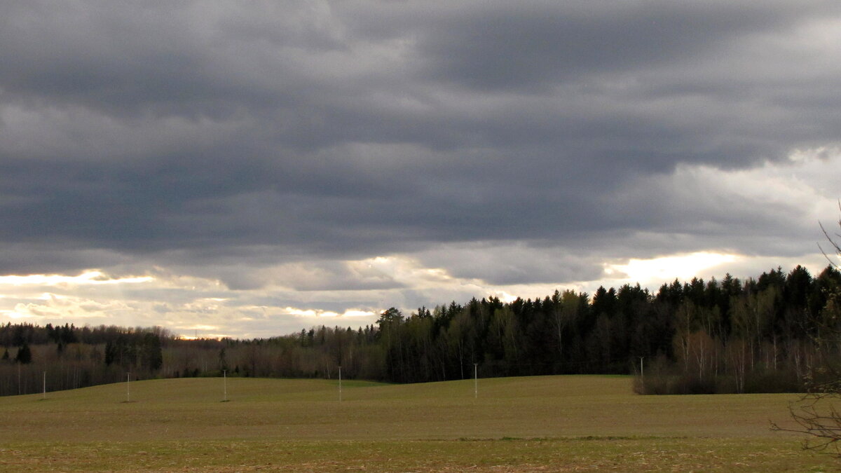 Апрельские виды на поля Беларуси... - Татьяна Гнездилова