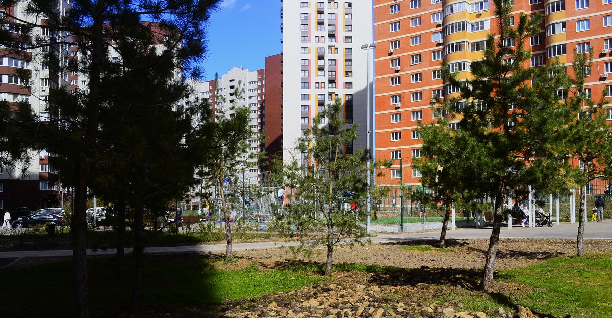 Солнечный апрель. - Василий Палий