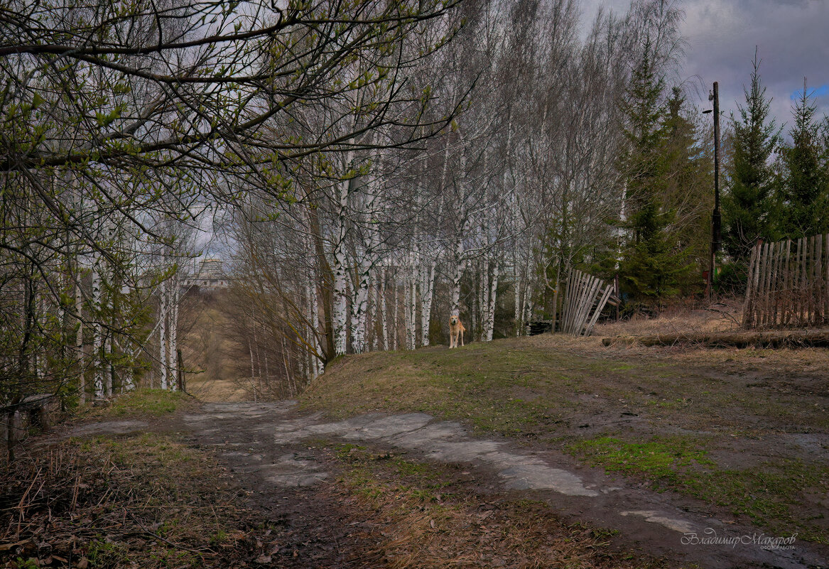 "Весна на околице деревни. Мальчик"© - Владимир Макаров