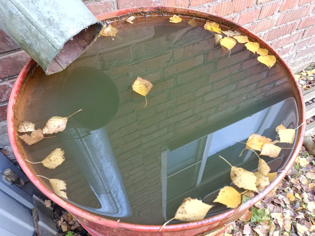 Осеннее отражение - Дмитрий П