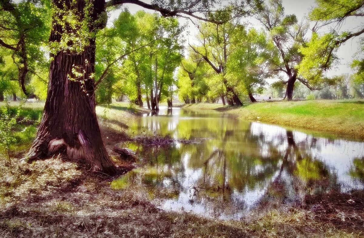 = - Aндрей Антонов