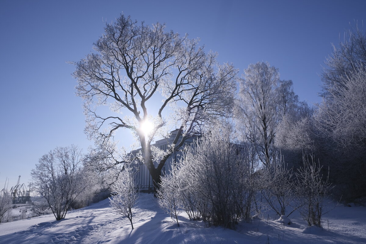 Зимний полдень. - Vladimir 