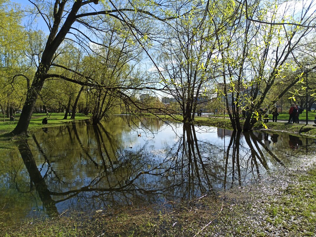 Приметы весны - Галина 