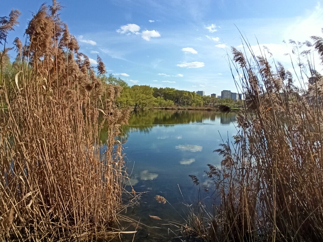 Приметы весны - Галина 