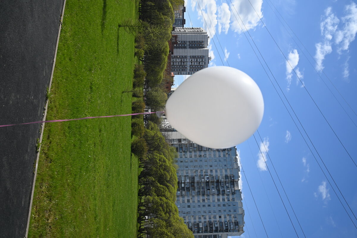 ... - Митяй Митрич