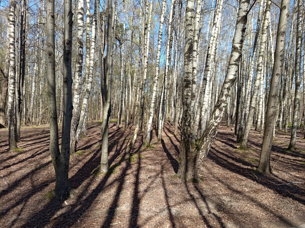 Приметы апреля - Андрей Лукьянов