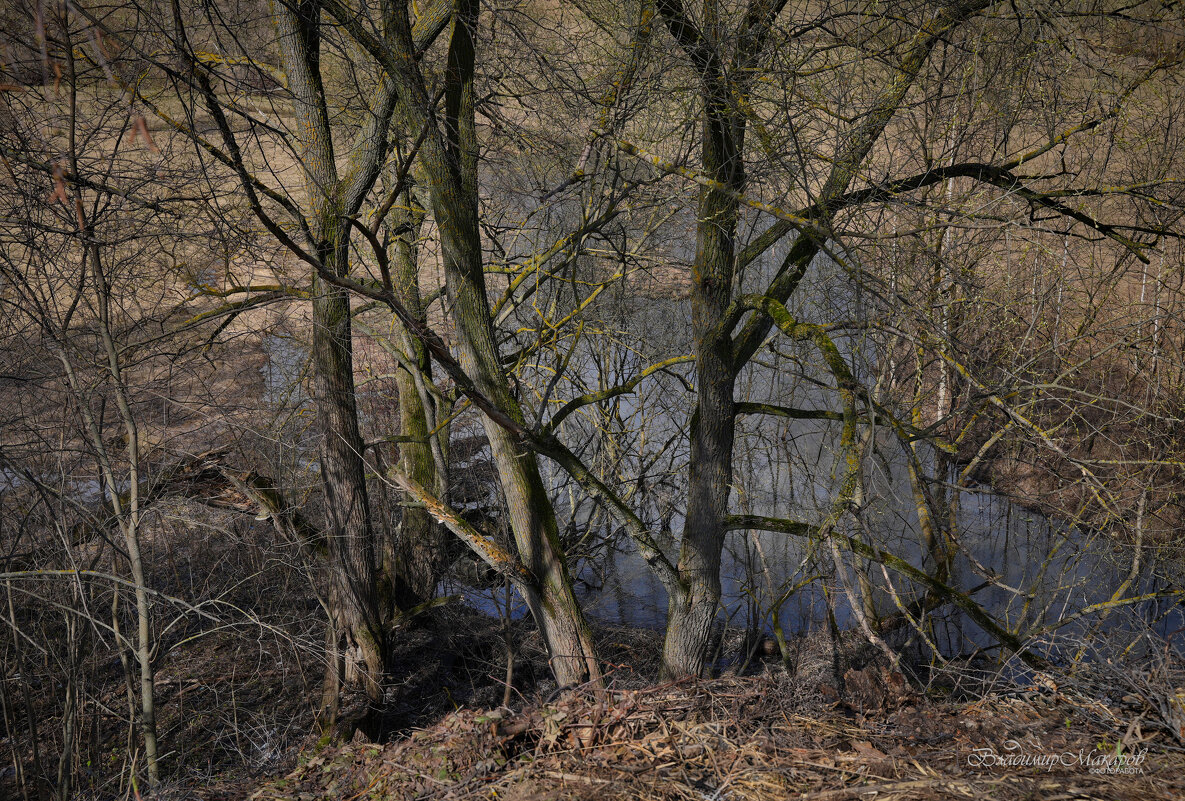 "Фрагмент холодной весны"© - Владимир Макаров