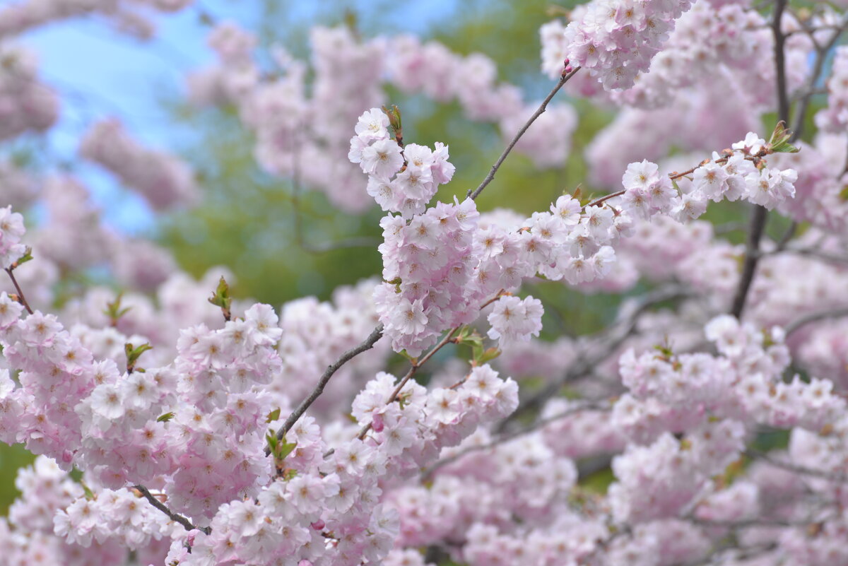 лейпциг2026 - Алексей Короткевич