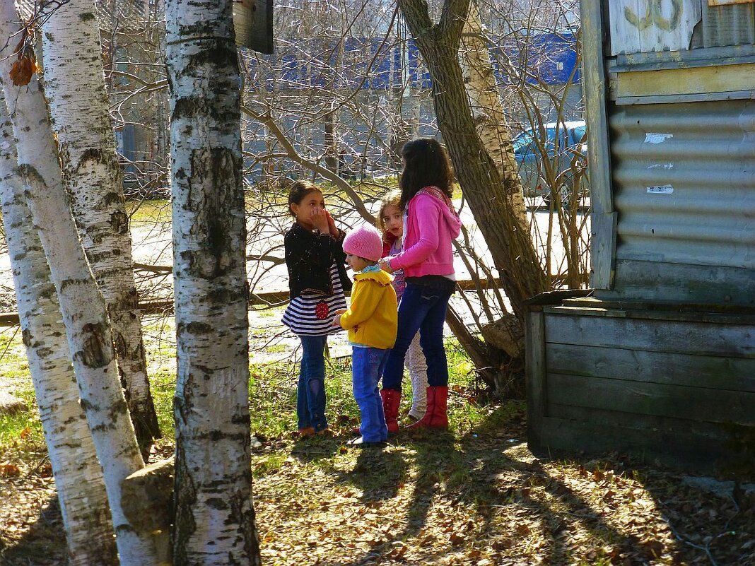 Май...Подруги с одного двора! - Владимир 