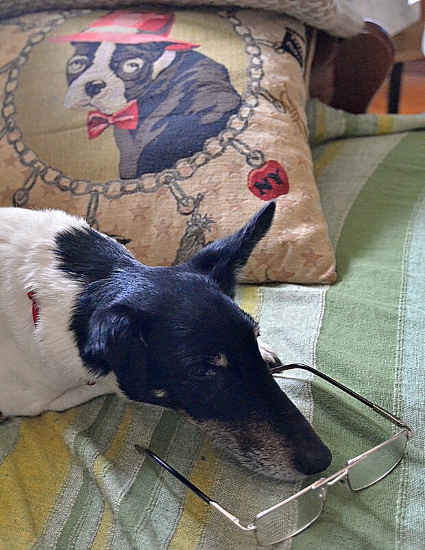 Тётя Ёла приехала... )) - Владимир Хиль