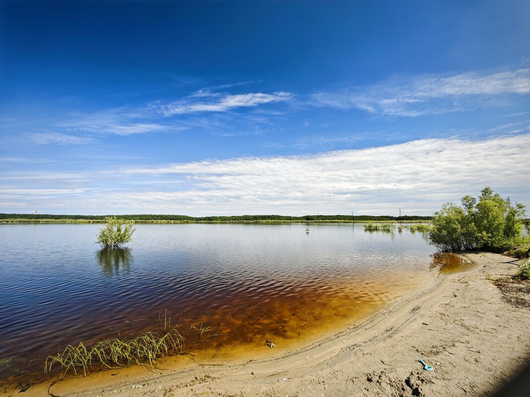 Пейзаж - Александр 