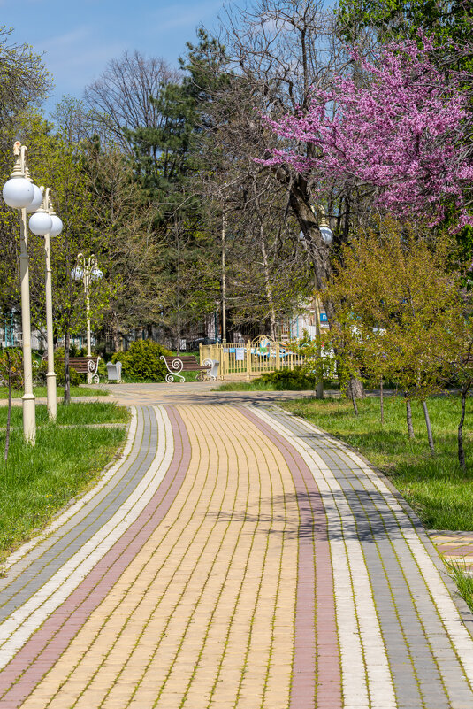 В городском парке - Игорь Сикорский