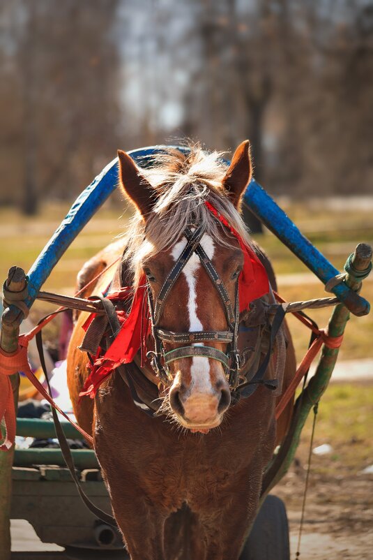 "Апгрейд" по последнему слову техники. - Татьяна Бравая